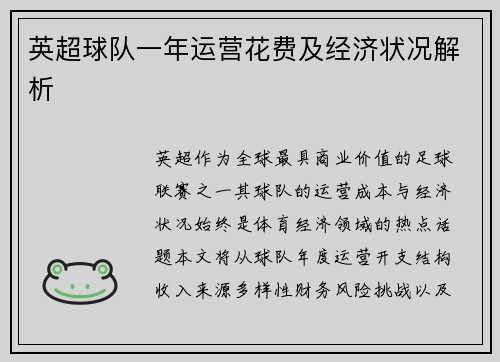 英超球队一年运营花费及经济状况解析