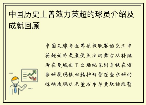 中国历史上曾效力英超的球员介绍及成就回顾